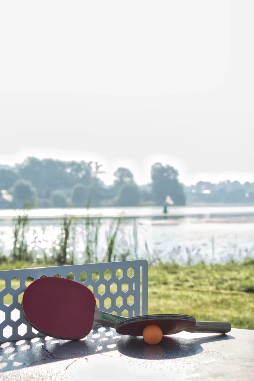 Raquettes de ping-pong près d'un lac ensoleillé.