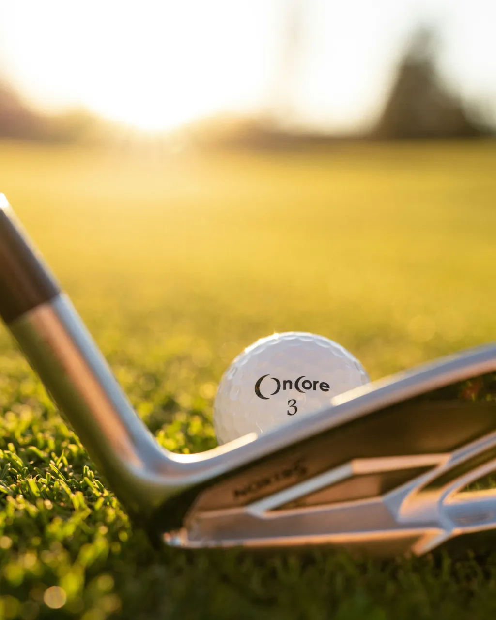 Balle de golf et club sur le green au soleil.