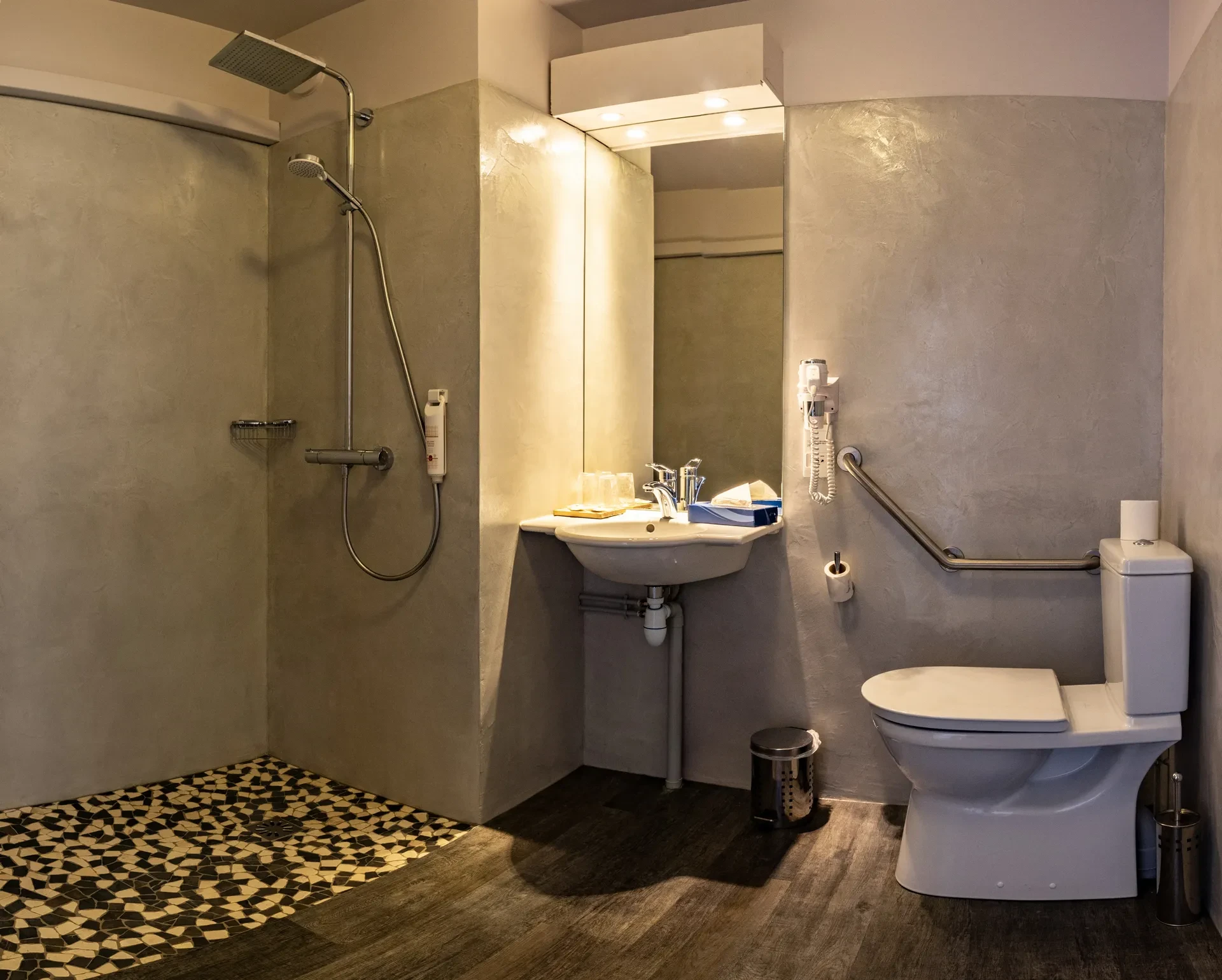 Salle de bain accessible avec douche et WC.