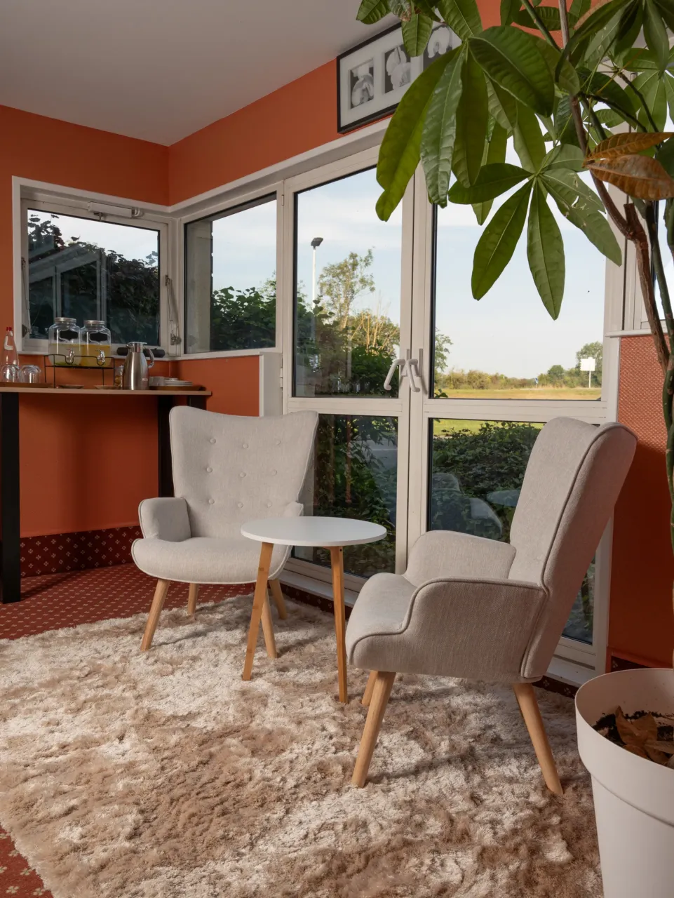 Espace détente avec fauteuils, table et plante.